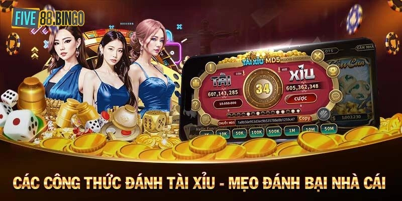 Five88 | Bỏ Túi 2 Mẹo Tài Xỉu Giúp Bạn Không Bao Giờ Thua